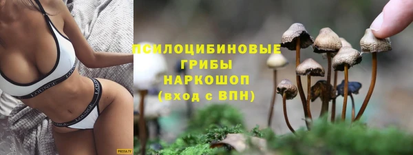 spice Алзамай