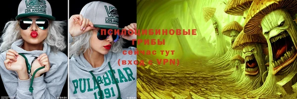 spice Алзамай