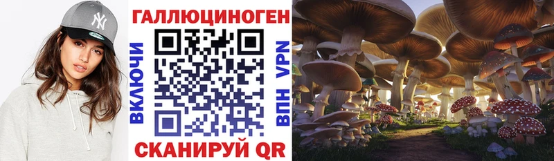 ссылка на мегу ONION  Лагань  Псилоцибиновые грибы MAGIC MUSHROOMS 